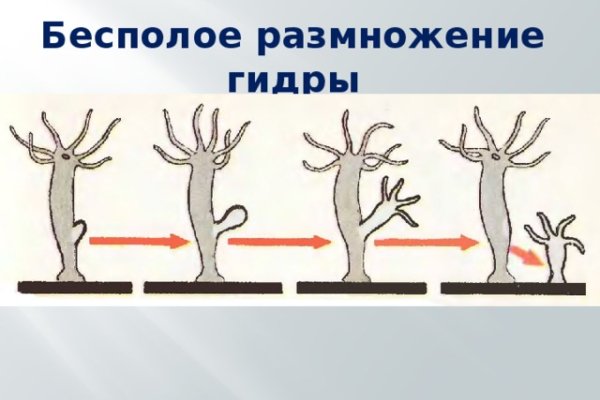 Настоящий сайт kraken