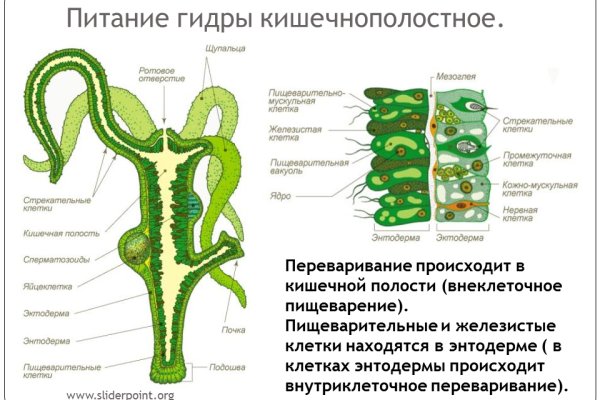 Кракен маркетплейс ссылка krakenat2krnkrnk com
