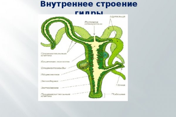 Kraken зеркала gigageek ru