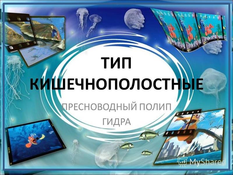 Сайты наркоты